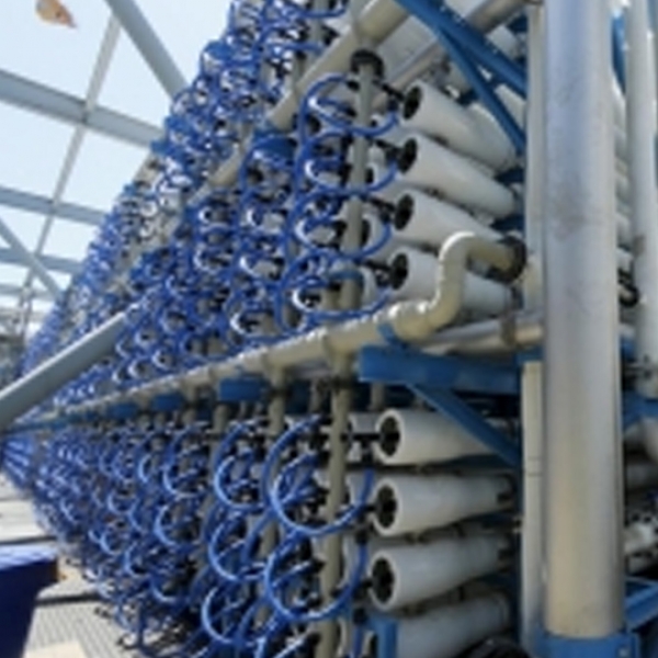 AP 430 Deaktivasyon Ürünü